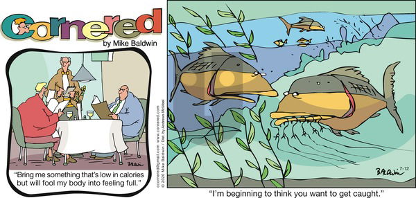 Cornered on Sunday July 12, 2020 Comic Strip