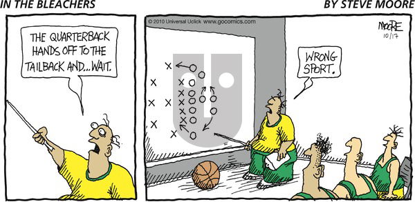 In the Bleachers on Sunday October 17, 2010 Comic Strip