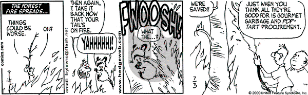 Over the Hedge - Monday July 3, 2000 Comic Strip