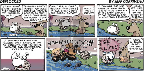 DeFlocked on Sunday May 11, 2008 Comic Strip