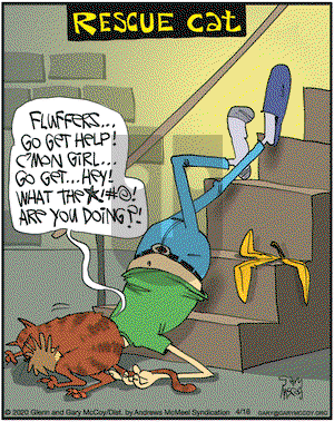 The Flying McCoys on Thursday April 16, 2020 Comic Strip