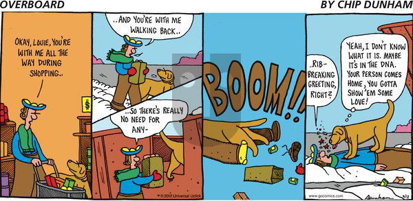Overboard on Sunday March 18, 2012 Comic Strip