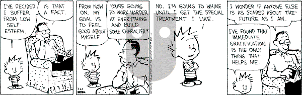 Calvin and Hobbes - Wednesday March 23, 1994 Comic Strip