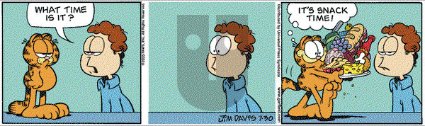Garfield - Saturday July 30, 2005 Comic Strip