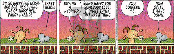 Pearls Before Swine on Friday June 28, 2019 Comic Strip