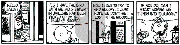 Peanuts on Saturday November 1, 1980 Comic Strip