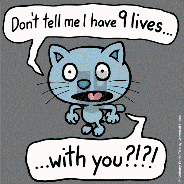Cattitude — Doggonit on Saturday February 22, 2025 Comic Strip