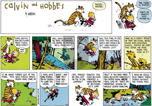 Calvin and Hobbes on Sunday April 15, 1990 Comic Strip