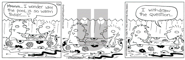 Soup to Nutz - Old on Friday June 14, 2002 Comic Strip