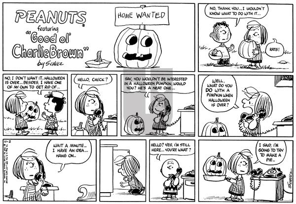 Peanuts on Sunday November 2, 1969 Comic Strip