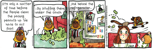 Breaking Cat News - Wednesday February 28, 2018 Comic Strip