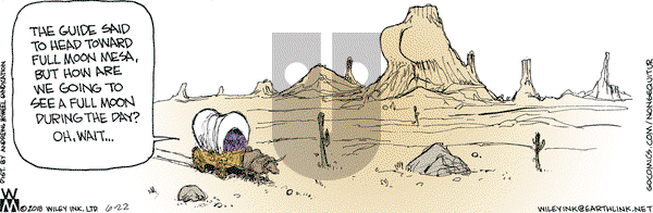 Non Sequitur - Friday June 22, 2018 Comic Strip