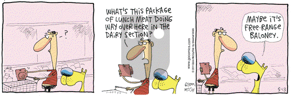 The Duplex on Friday May 13, 2011 Comic Strip