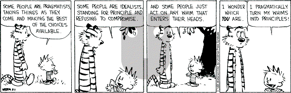 Calvin and Hobbes - Friday August 11, 1995 Comic Strip