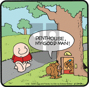 Ziggy on Saturday January 18, 2020 Comic Strip