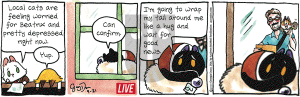 Breaking Cat News on Monday September 21, 2020 Comic Strip