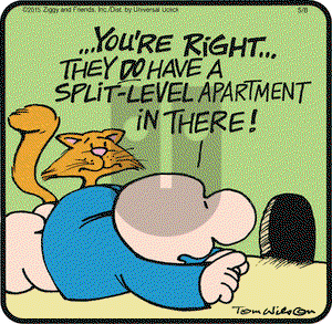 Ziggy on Friday May 8, 2015 Comic Strip
