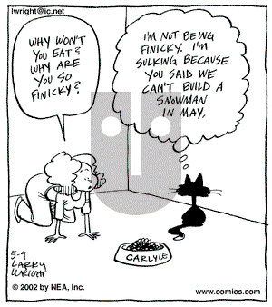 Kit 'N' Carlyle on Thursday May 9, 2002 Comic Strip