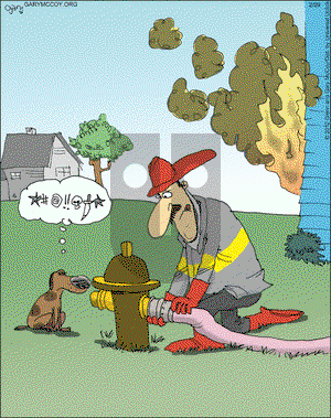 The Flying McCoys on Wednesday February 29, 2012 Comic Strip