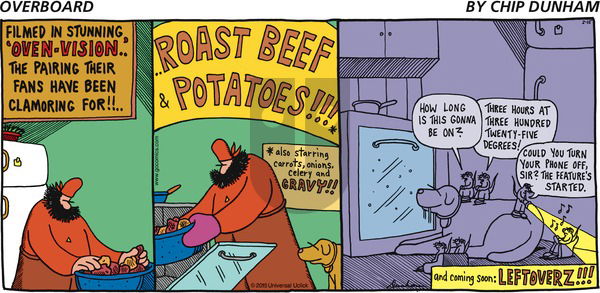 Overboard on Sunday February 15, 2015 Comic Strip