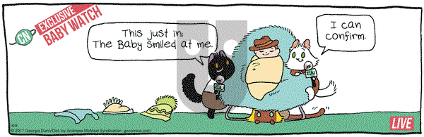Breaking Cat News on Thursday June 8, 2017 Comic Strip