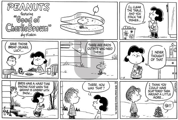 Peanuts on Sunday January 8, 1978 Comic Strip