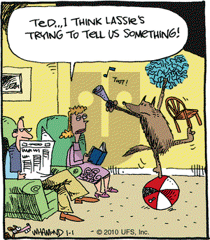 Reality Check on Friday January 1, 2010 Comic Strip