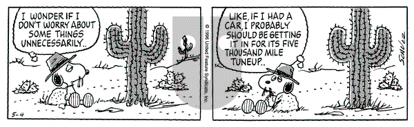 Peanuts on Saturday May 4, 1996 Comic Strip