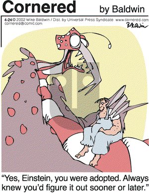Cornered on Wednesday April 24, 2002 Comic Strip