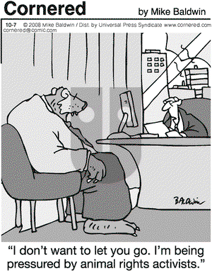 Cornered on Tuesday October 7, 2008 Comic Strip