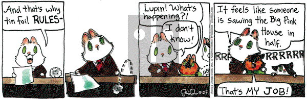 Breaking Cat News - Monday May 27, 2024 Comic Strip