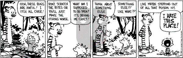 Calvin and Hobbes - Thursday July 27, 1989 Comic Strip