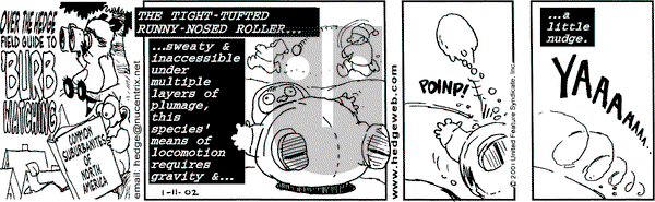 Over the Hedge on Friday January 11, 2002 Comic Strip