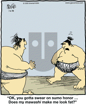 In the Bleachers - Friday December 18, 2009 Comic Strip