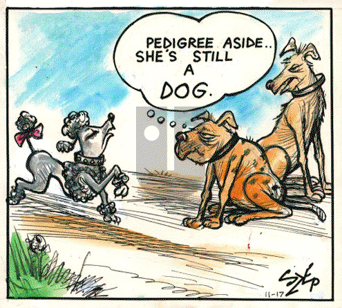 Today's Szep on Monday February 27, 2023 Comic Strip