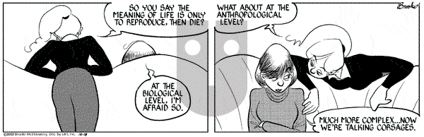 9 Chickweed Lane on Wednesday December 18, 2002 Comic Strip
