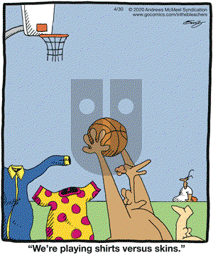 In the Bleachers on Thursday April 30, 2020 Comic Strip
