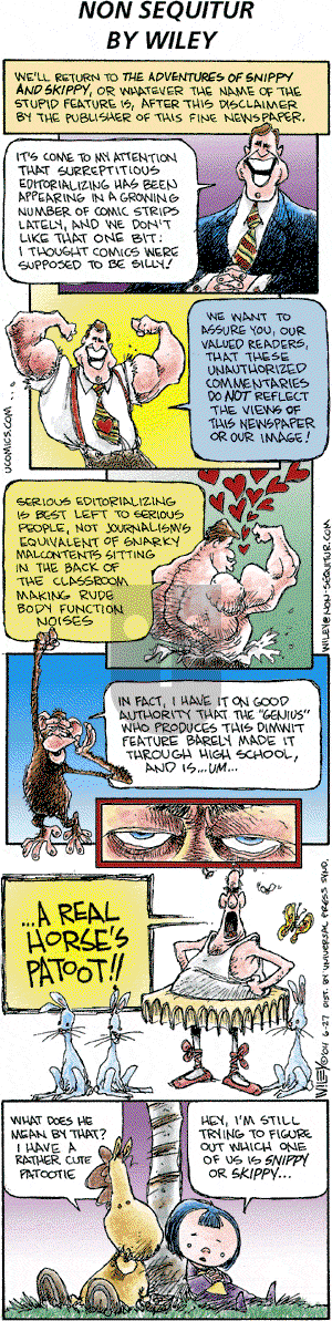 Non Sequitur on Sunday June 27, 2004 Comic Strip