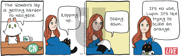 Breaking Cat News on Friday May 12, 2017 Comic Strip