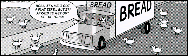 F Minus on Monday November 24, 2008 Comic Strip