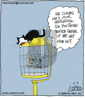 Kit 'N' Carlyle on Wednesday February 4, 2009 Comic Strip