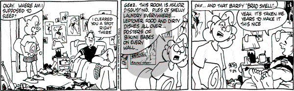 Luann on Friday July 29, 1994 Comic Strip