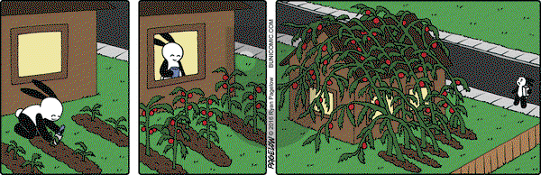 Buni on Wednesday July 27, 2016 Comic Strip