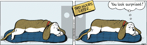Fred Basset on Saturday September 17, 2011 Comic Strip