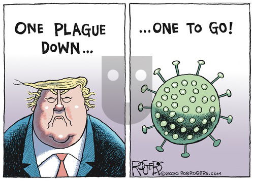 Rob Rogers on Sunday November 8, 2020 Comic Strip