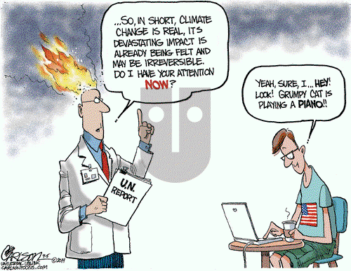 Stuart Carlson on Friday September 5, 2014 Comic Strip
