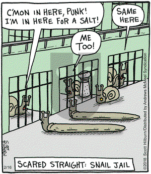 The Argyle Sweater on Friday February 16, 2018 Comic Strip