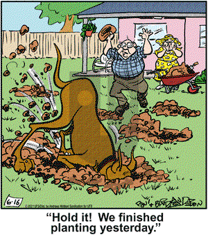 Marmaduke on Wednesday June 16, 2021 Comic Strip