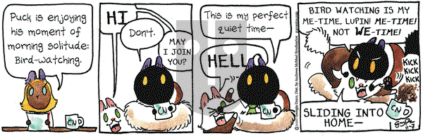 Breaking Cat News on Saturday November 7, 2020 Comic Strip