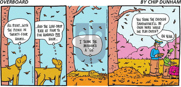 Overboard - Sunday October 26, 2008 Comic Strip